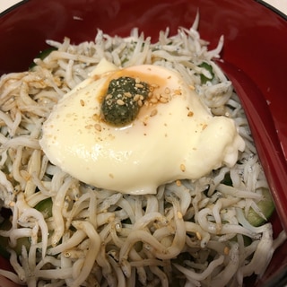 平日ランチにも！ちりめんで簡単しらすきゅうり丼